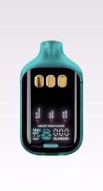 Boutiq Switch V5 - Boutiq Disposable Vape